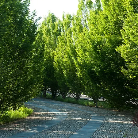 Relais 23 & Ristorante 3* Castelnuovo Belbo